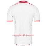 Maillot/Tenue Tunisie Domicile Coupe du monde 2018